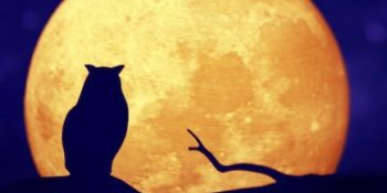 lavorare-di.notte-come-gestire-lo-stress-se-fai-i-turni-di-notte
